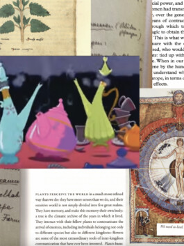 Sandra Hasen&ouml;der